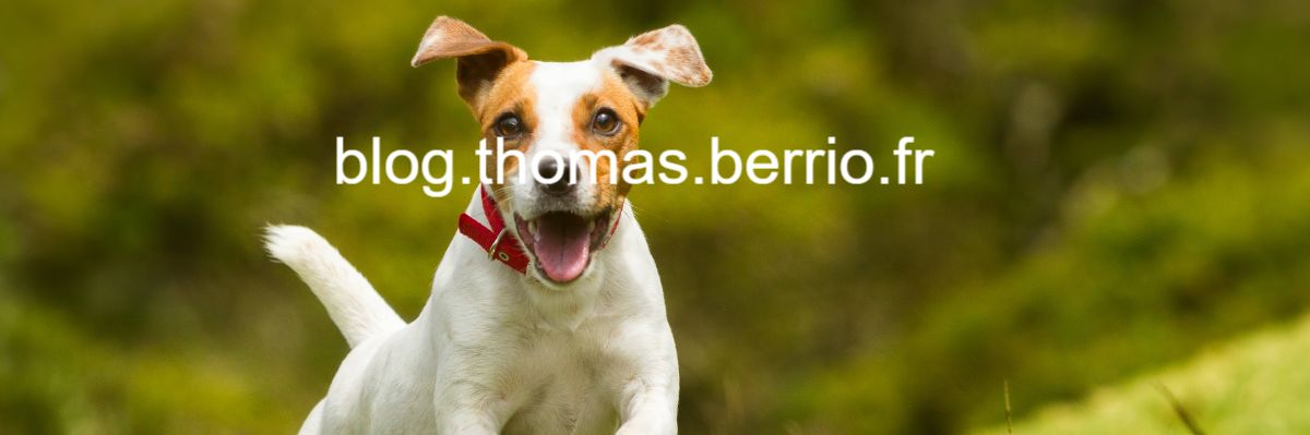 blog-copy-2.thomas.berrio.fr